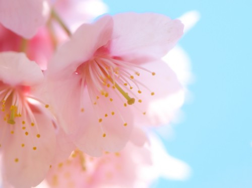 ں 㴥ҵ˿(1)_WWW.AIGEXING.COM