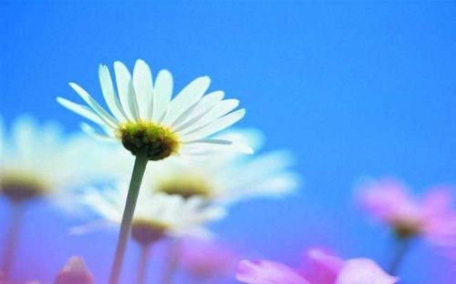 ˸˵˵ ĵ(9)_WWW.AIGEXING.COM