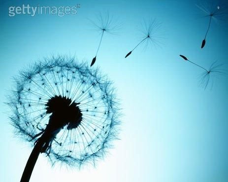 Ŀռ˵˵ȫľͷĵľͷ(4)_WWW.AIGEXING.COM
