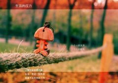 ǷQQ˸е۵ļ