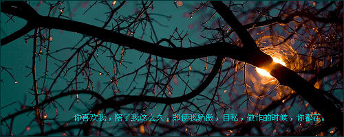 ÿ˸԰֣ټҵ磬ټҵ(5)_WWW.AIGEXING.COM