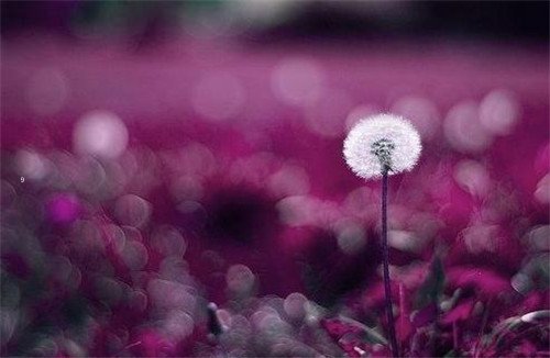 շĿռ˵˵ȫûı˾Ͳ(12)_WWW.AIGEXING.COM