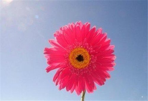 շĿռ˵˵ȫûı˾Ͳ(13)_WWW.AIGEXING.COM