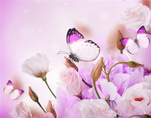 ˸и˵˵ͼƬ(5)_WWW.AIGEXING.COM