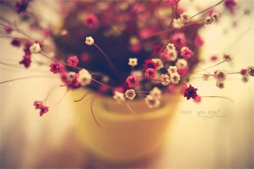 ˸и˵˵ͼƬ(4)_WWW.AIGEXING.COM