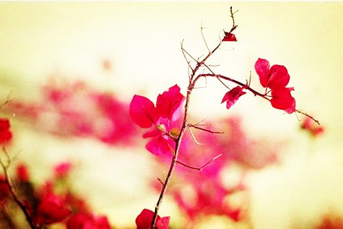 ʧǩȫ2014°(1)_WWW.AIGEXING.COM
