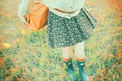 䳬Цǩ Ϥ໰
