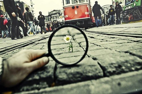 δû㣬Ҳһֲȱ(7)_WWW.AIGEXING.COM