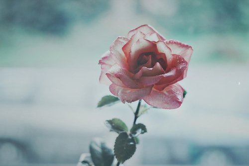 ϲһ˵˵˵԰֮Ҷȥ(8)_WWW.AIGEXING.COM