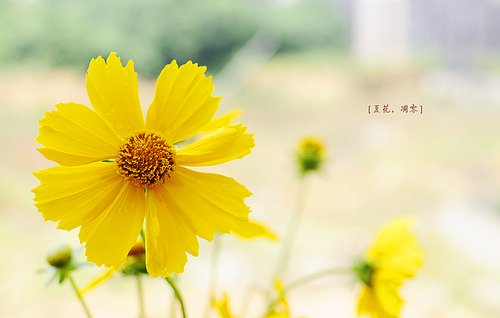 ĵQQ˵˵ȫûĳУҵһƬ(8)_WWW.AIGEXING.COM