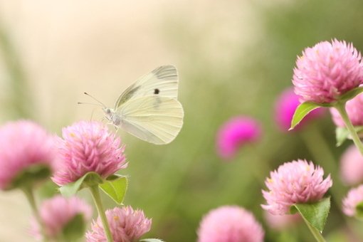 Լ˸пۿȺƣڻҵ껪Լ(2)_WWW.AIGEXING.COM