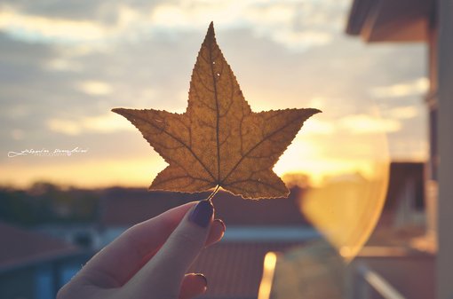 ˵˵ֿͼƬս飬ѱ(3)_WWW.AIGEXING.COM