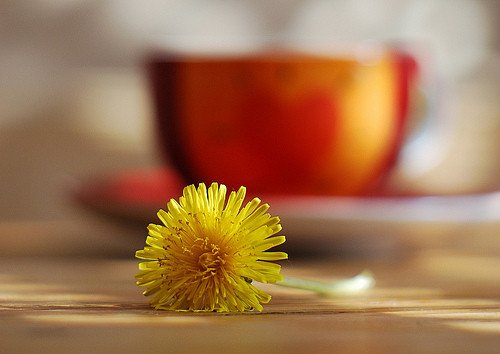 ʱ˵˵ͼƬ׵Ĳǡǵİز(4)_WWW.AIGEXING.COM