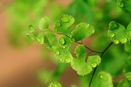 ۿۿռ˵˵ͼƬģ,,,,һ(1)_WWW.AIGEXING.COM