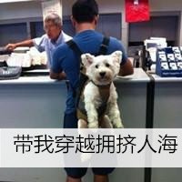 ˧ŷͷҶΨмį͹¶(17)_WWW.AIGEXING.COM