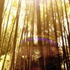 Ψ⾳羰QQͷȥϱˣȴ(8)_WWW.AIGEXING.COM