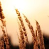 Ψ⾳羰QQͷȥϱˣȴ(3)_WWW.AIGEXING.COM