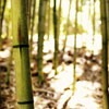 Ψ⾳羰QQͷȥϱˣȴ(7)_WWW.AIGEXING.COM