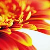 Ψ⾳羰QQͷȥϱˣȴ(5)_WWW.AIGEXING.COM