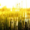 Ψ⾳羰QQͷȥϱˣȴ(11)_WWW.AIGEXING.COM