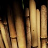 Ψ⾳羰QQͷȥϱˣȴ(9)_WWW.AIGEXING.COM