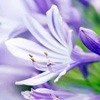 ƯĻQQͷϰڱ˹֮һ˾ȫ(8)_WWW.AIGEXING.COM