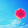 ƯĻQQͷϰڱ˹֮һ˾ȫ(21)_WWW.AIGEXING.COM