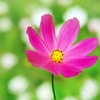 ƯĻQQͷϰڱ˹֮һ˾ȫ(32)_WWW.AIGEXING.COM