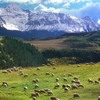 Է羰QQͷͼƬ˶İֻһֱ֧(16)_WWW.AIGEXING.COM