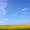 Է羰QQͷͼƬ˶İֻһֱ֧(41)_WWW.AIGEXING.COM