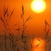 Է羰QQͷͼƬ˶İֻһֱ֧(1)_WWW.AIGEXING.COM