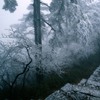 Է羰QQͷͼƬ˶İֻһֱ֧(40)_WWW.AIGEXING.COM
