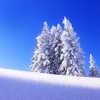 Է羰QQͷͼƬ˶İֻһֱ֧(54)_WWW.AIGEXING.COM