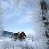 Է羰QQͷͼƬ˶İֻһֱ֧(4)_WWW.AIGEXING.COM