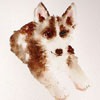 ֻˮʶQQͷĺһ(15)_WWW.AIGEXING.COM