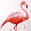 ֻˮʶQQͷĺһ(13)_WWW.AIGEXING.COM