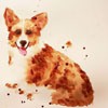 ֻˮʶQQͷĺһ(29)_WWW.AIGEXING.COM