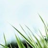 ΨQQͷͼƬഺİʵһû(13)_WWW.AIGEXING.COM