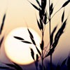 ΨQQͷͼƬഺİʵһû(17)_WWW.AIGEXING.COM