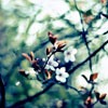 ΨQQͷͼƬഺİʵһû(36)_WWW.AIGEXING.COM
