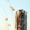 ΨQQͷͼƬഺİʵһû(16)_WWW.AIGEXING.COM
