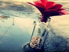 ȽΨӢĸǩA broken heart non-trace