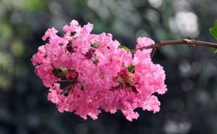 ˸еӣҪСȥάĶһ첻
