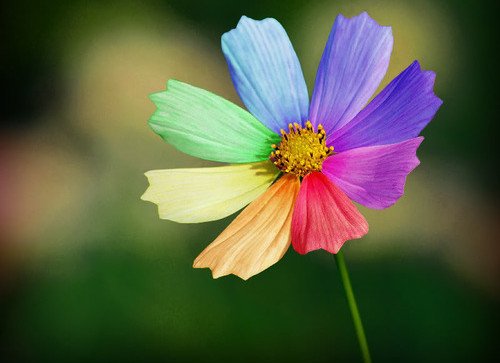 ռ˵˵ͼƬҵİҲֻۣרΪ(2)_WWW.AIGEXING.COM