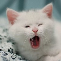 ɰõСèQQͷ(14)_WWW.AIGEXING.COM