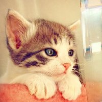 ɰõСèQQͷ(40)_WWW.AIGEXING.COM