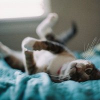 ɰõСèQQͷ(19)_WWW.AIGEXING.COM