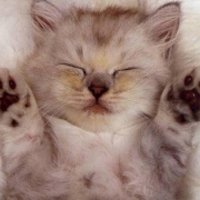 ɰõСèQQͷ(67)_WWW.AIGEXING.COM