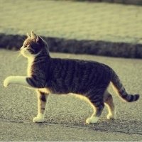 ɰõСèQQͷ(39)_WWW.AIGEXING.COM