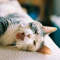 ɰõСèQQͷ(43)_WWW.AIGEXING.COM
